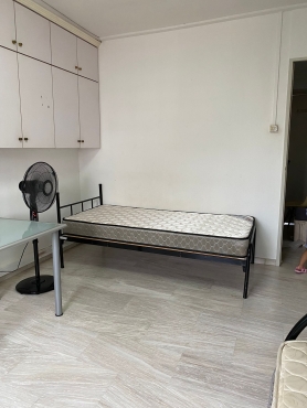 Looking One Male for long term/ short term roommate to share in Big Common Room near Yew T