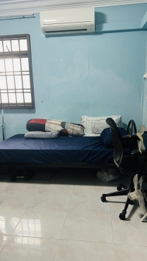 One male roommate near Admiralty Mrt